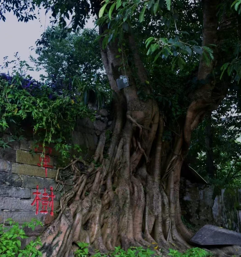 1759218867646026600.png 25.png